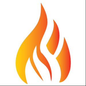 Integrity Chimney Service